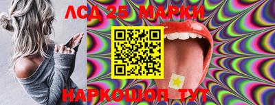 Альфа ПВП Славгород