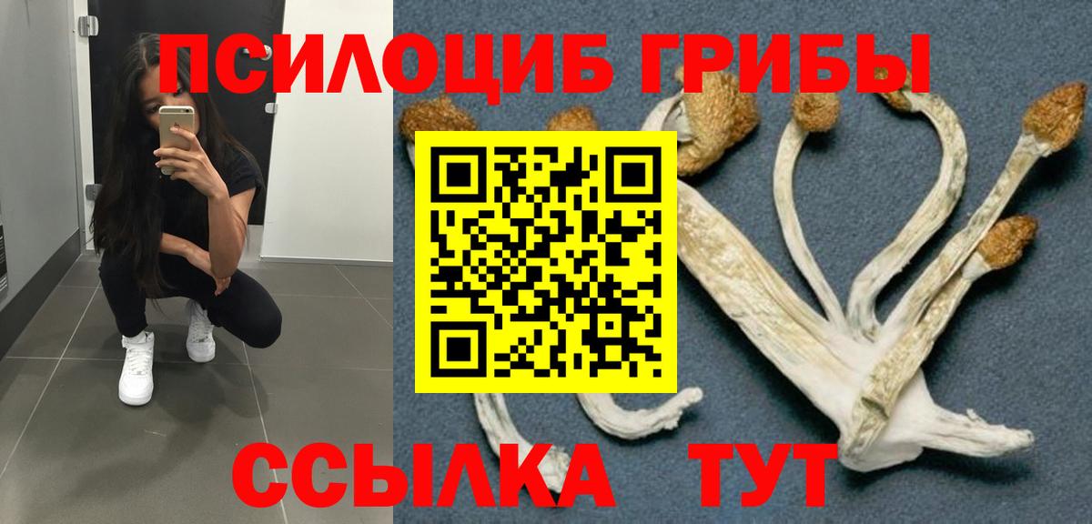 Псилоцибиновые грибы GOLDEN TEACHER  Псилоцибиновые грибы ЛСД  Усинск  Вход с VPN 